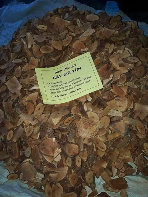 500g Cây Mú Từn - bổ thận tráng dương mạnh | BigBuy360 - bigbuy360.vn