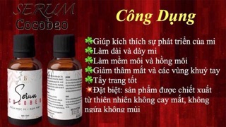 Kích mi COCOBEO