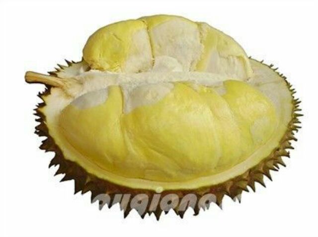 Khi ăn sầu riêng kị món nào nhất? Những điều lưu ý khi ăn sầu riêng nếu không muốn bị ngộ độc 2