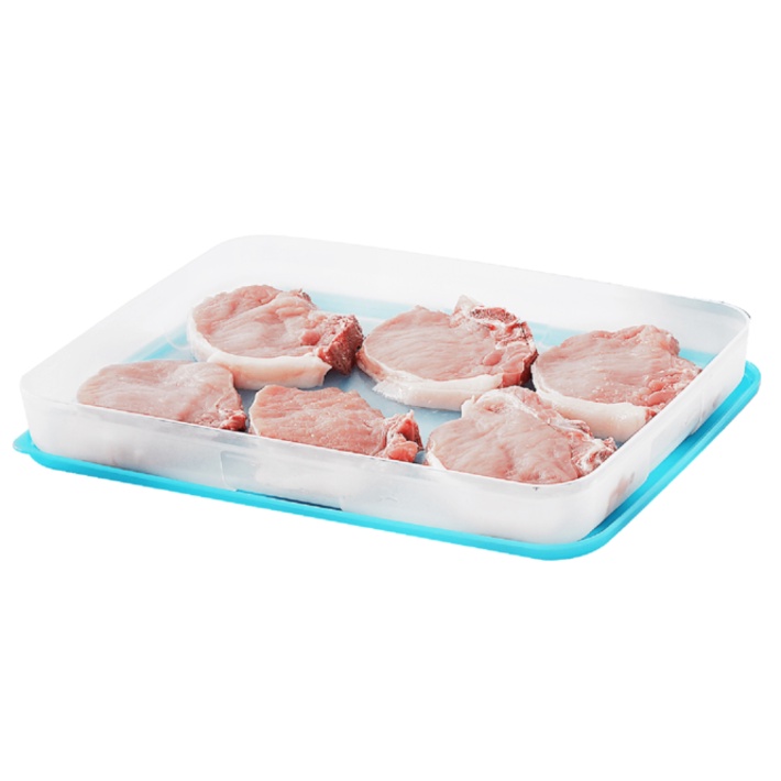 Hộp trữ đông Tupperware Freezermate 1.2L thấp