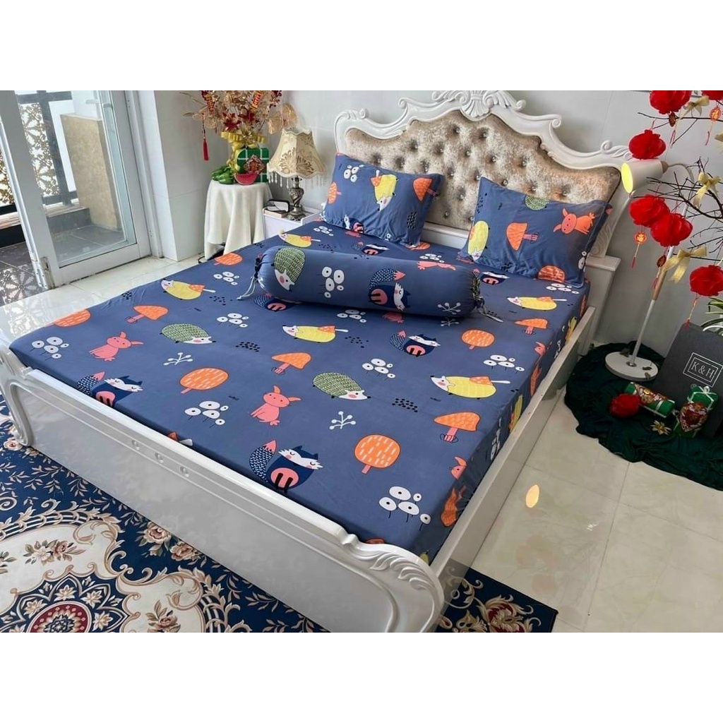 Bộ ga thun hàn quốc 4 món rẻ đẹp