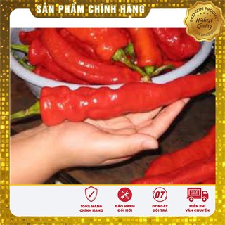 Hạt Giống Ớt Sừng Ngọt