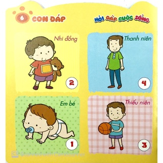 Sách - Mẹ hỏi con đáp ( 2- 6 Tuổi ) - Lẻ Tập - Đông A