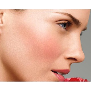 Bảng Phấn Má Hồng 2 Màu Absolute NewYork Chic Cheek Blush Duo