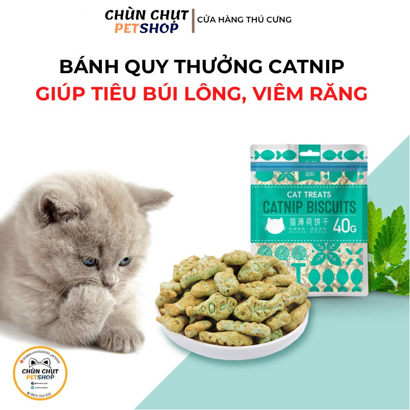 Bánh quy Catnip Biscuits tiêu búi lông &amp; giảm hôi miệng cho Mèo gói 40g - ChunChut PetShop