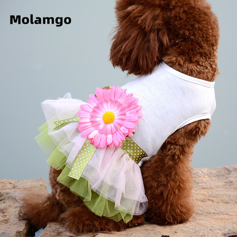 Bộ váy xinh xắn đáng yêu thời tran xuân thu cho thú cưng