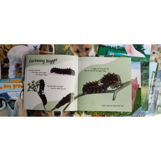 VÒNG ĐỜI CỦA CÁC CON VẬT (SEE HOW THEY GROW) IN OFFSET