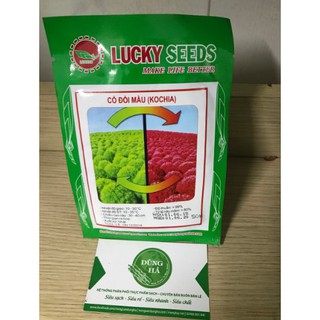 Hạt giống hoa cỏ đổi màu gói 50 hạt