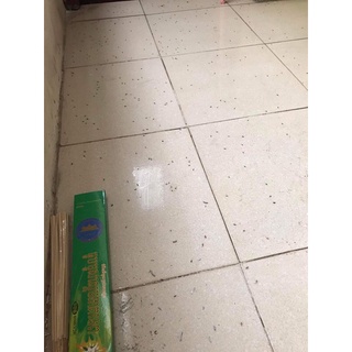 Hương diệt muỗi Thái Lan ít khói, ít mùi không độc hại