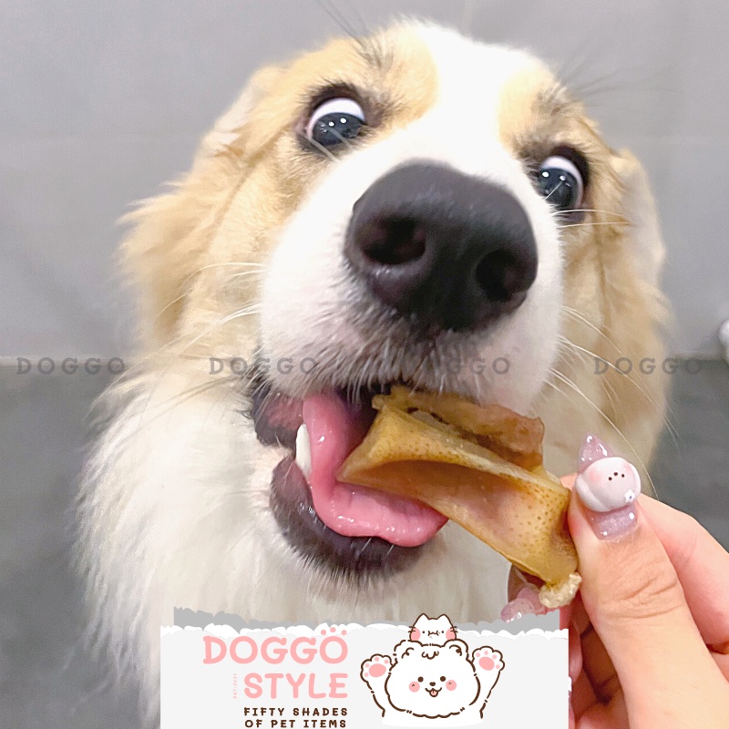 Treat Bánh Thưởng Cho Chó Tai Heo Sấy Khô DOGGOSTYLE Homemade Giúp Sạch Răng Không Chất Bảo Quản 50G