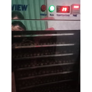 [Macca sấy] 100gr Nhân hạt Macca nguyên hạt