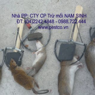 Combo 2bẫy chuột Quang Thiều