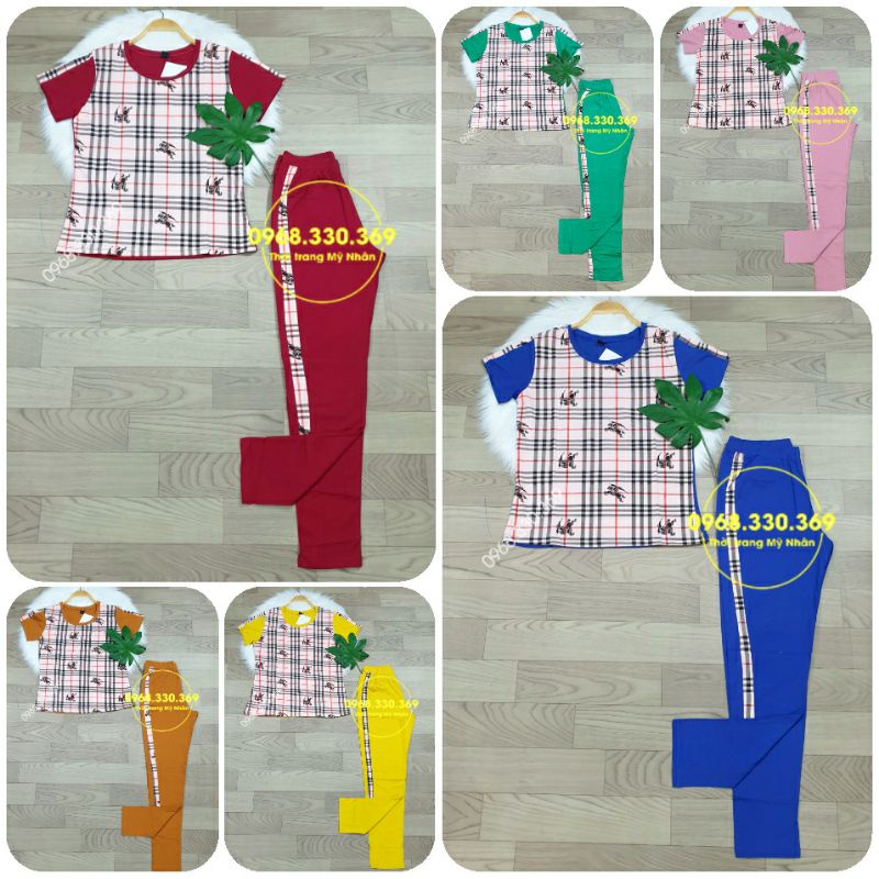 Đồ bộ thun cotton đẹp nhiều màu