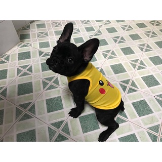 Áo Pikachu cho chó mèo siêu dễ thương