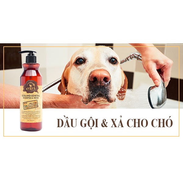 "500ml"DẦU GỘI CHO CHÓ budlle budlle  Dầu gội cho chó giúp làm sạch và cân bằng độ ẩm da lông, đảm bảo an toàn cho bé iu