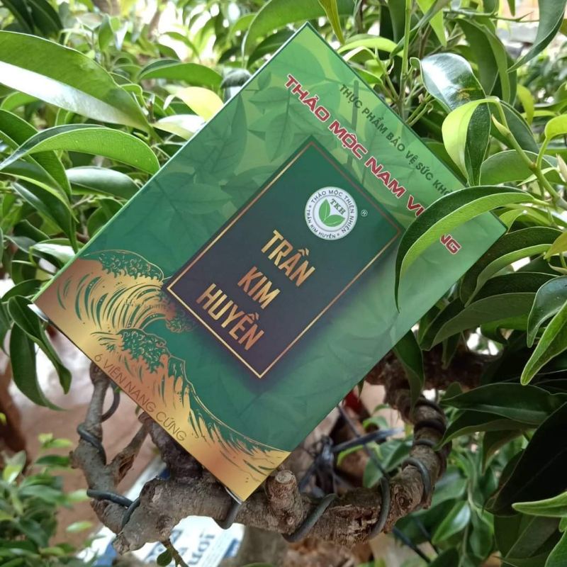 Thảo Mộc Nam Vương Trần Kim Huyền