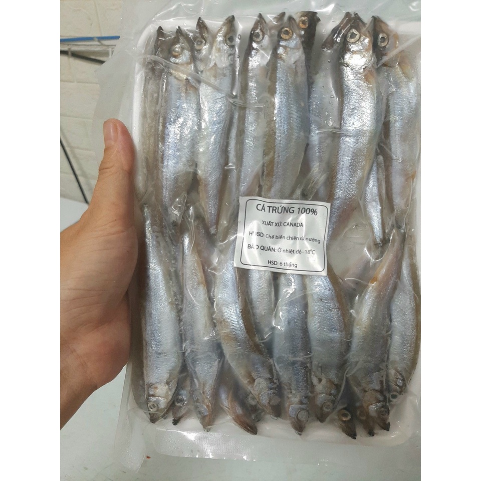 😋😋😋CÁ TRỨNG NAUY SIÊU SIÊU NGON😋😋😋