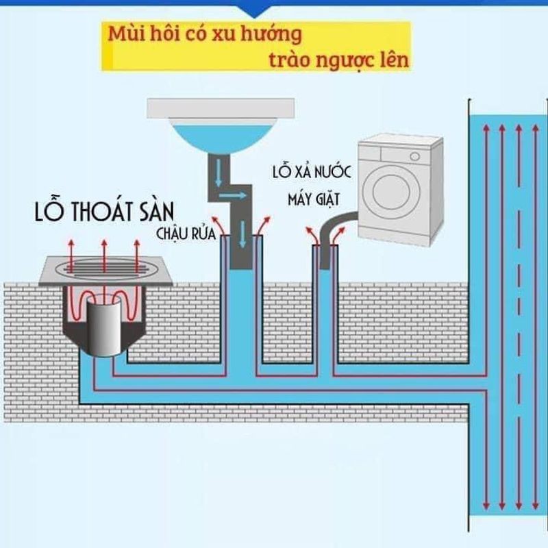 Nắp Ngăn Mùi Hôi Cống, Chống Mùi Thoát Sàn, Chặn Mùi Hôi Cống, Chống mùi hôi cống thoát nước - Chống côn trùng