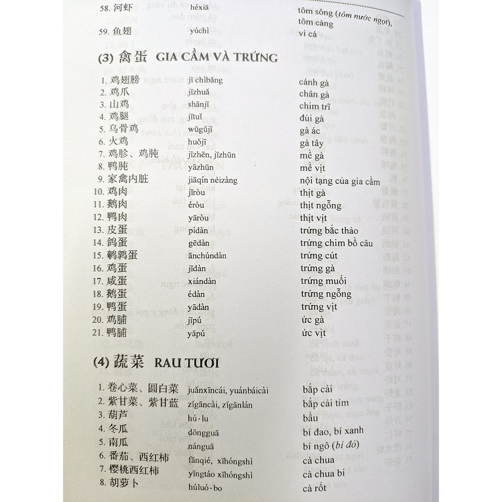 Sách - Từ điển chủ điểm Hán - Việt hiện đại (bìa mềm)
