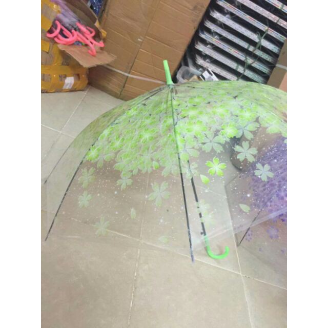 [ SALE TƯNG BỪNG] Ô dù trong suốt hoa văn.