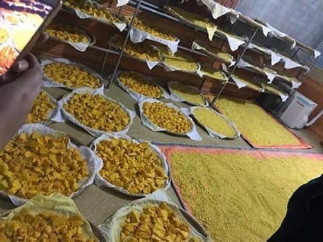Tinh bột nghệ vàng nhà làm( 0,5kg~ 1kg)