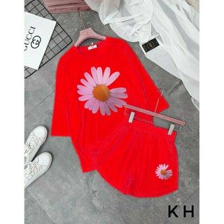 set bộ hoa cúc bigsize 75- 100kg
