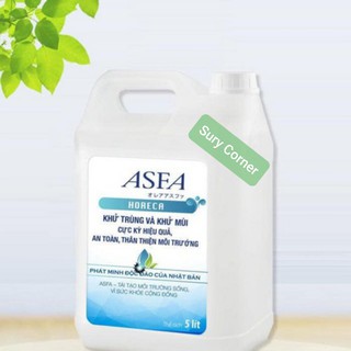 Dung dịch nước khử khuẩn Asfa Horeca 5L