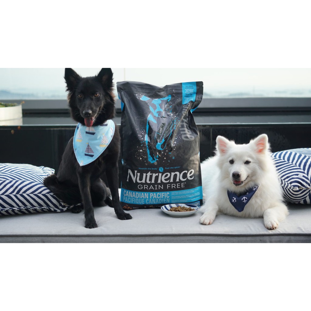 5kg - Hạt SubZero Nutrience cao cấp cho Mèo Grain Free - Nutrience SubZero Fraser Valley for Cats all of life stage 5kg