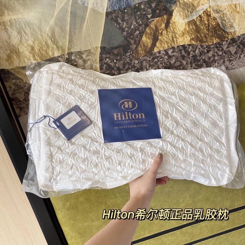 Gối Cao su Non Hilton Cao Cấp Gối Chống mỏi vai gáy kích thước lớn 33x55cm