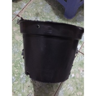 40 chậu bít 12 cm
