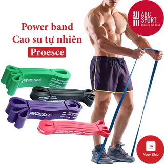 Dây kháng lực power band thương hiệu Proesce, dây trợ lực tập xà đơn, tập toàn thân cao su tự nhiên