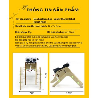 Đồ Chơi khoa học - Robot nhện