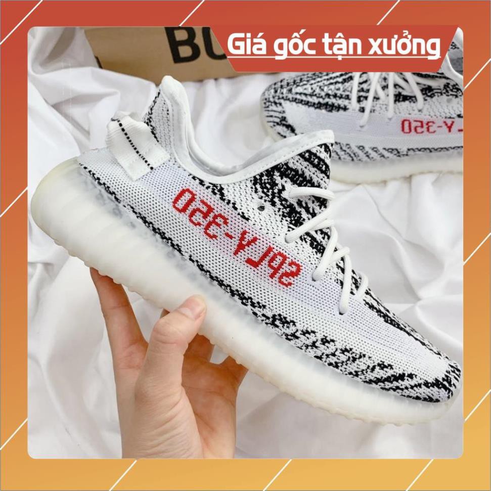 [FreeShip+ Hàng Xịn] Giày Thể Thao YZ 350 Ngựa Vằn Nam Nữ