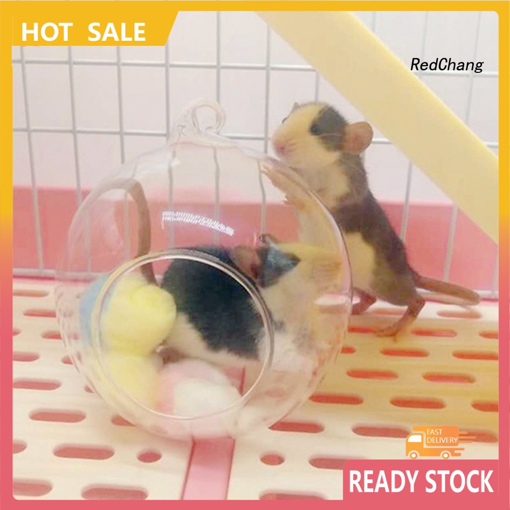 Lồng treo thủy tinh dễ thương cho chuột hamster