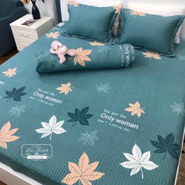 Bộ Ga Chun Trần Cotton Hàn Quốc Trần Bông Kèm 2 Vỏ Gối m6 m8 2m2 nhiều mẫu