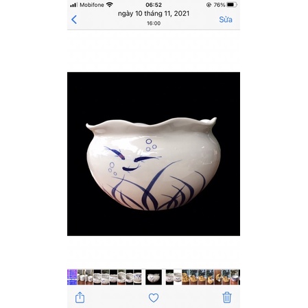 Chậu trồng sen, súng mini, nuôi cá