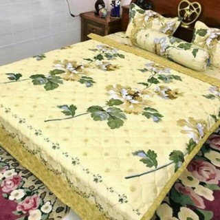 Bộ ga giường cotton