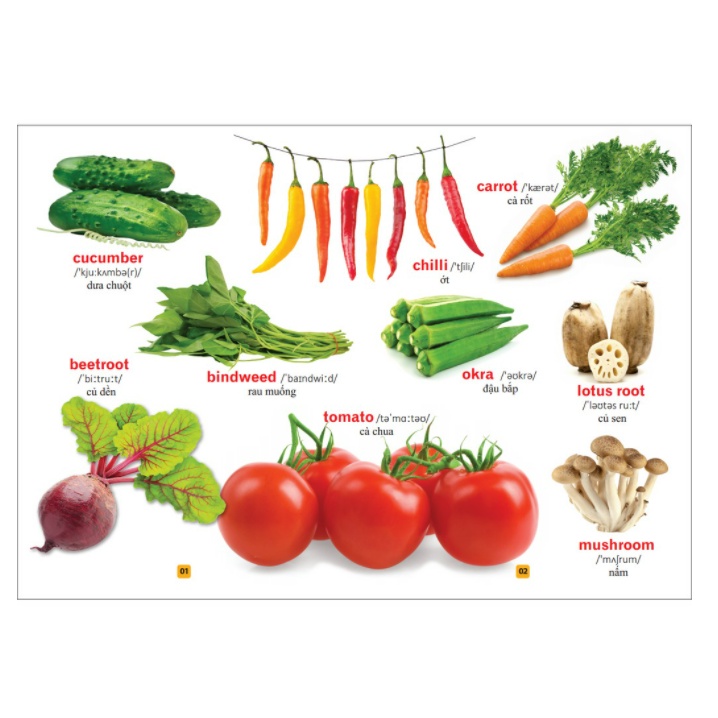 Sách - Từ điển bằng tranh - Rau củ quả