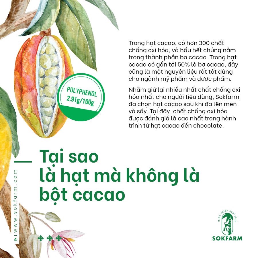 Hạt cacao &amp; Mật Hoa Dừa sokfarm 65gr / hủ