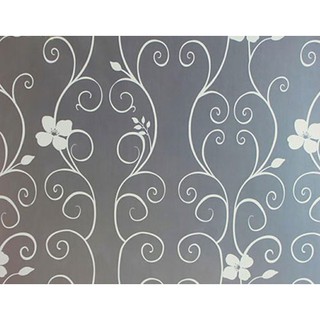Combo 5m decal dán kính mờ dây leo trắng binbin dk04