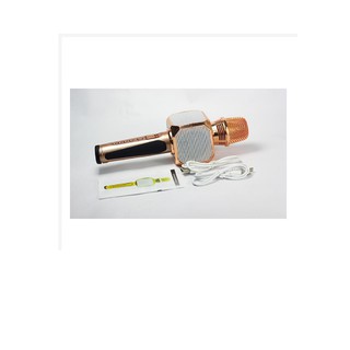 Micro không dây hát karaoke Bluetooth SD 10