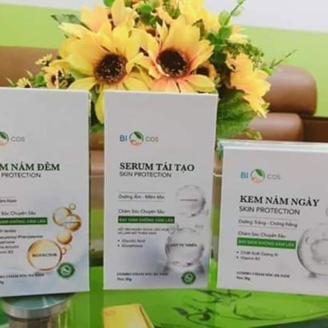 Bộ kem nám biocs