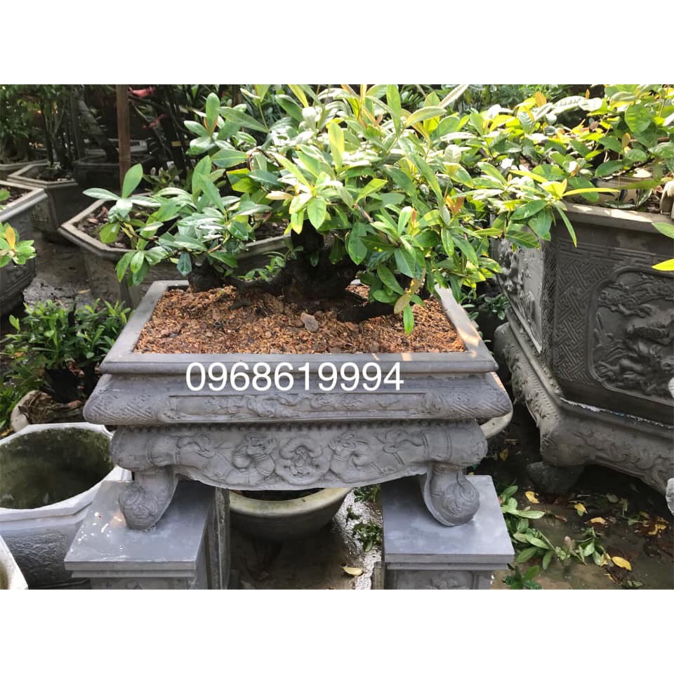 Khuôn chậu chữ nhật composite dài 50cm rộng 30cm cao 30cm chân liền