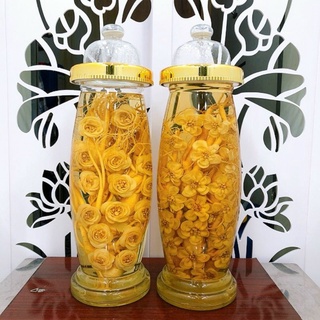 Chính hãng bình thủy tinh ngâm rượu sâm 7 lít yongcheon