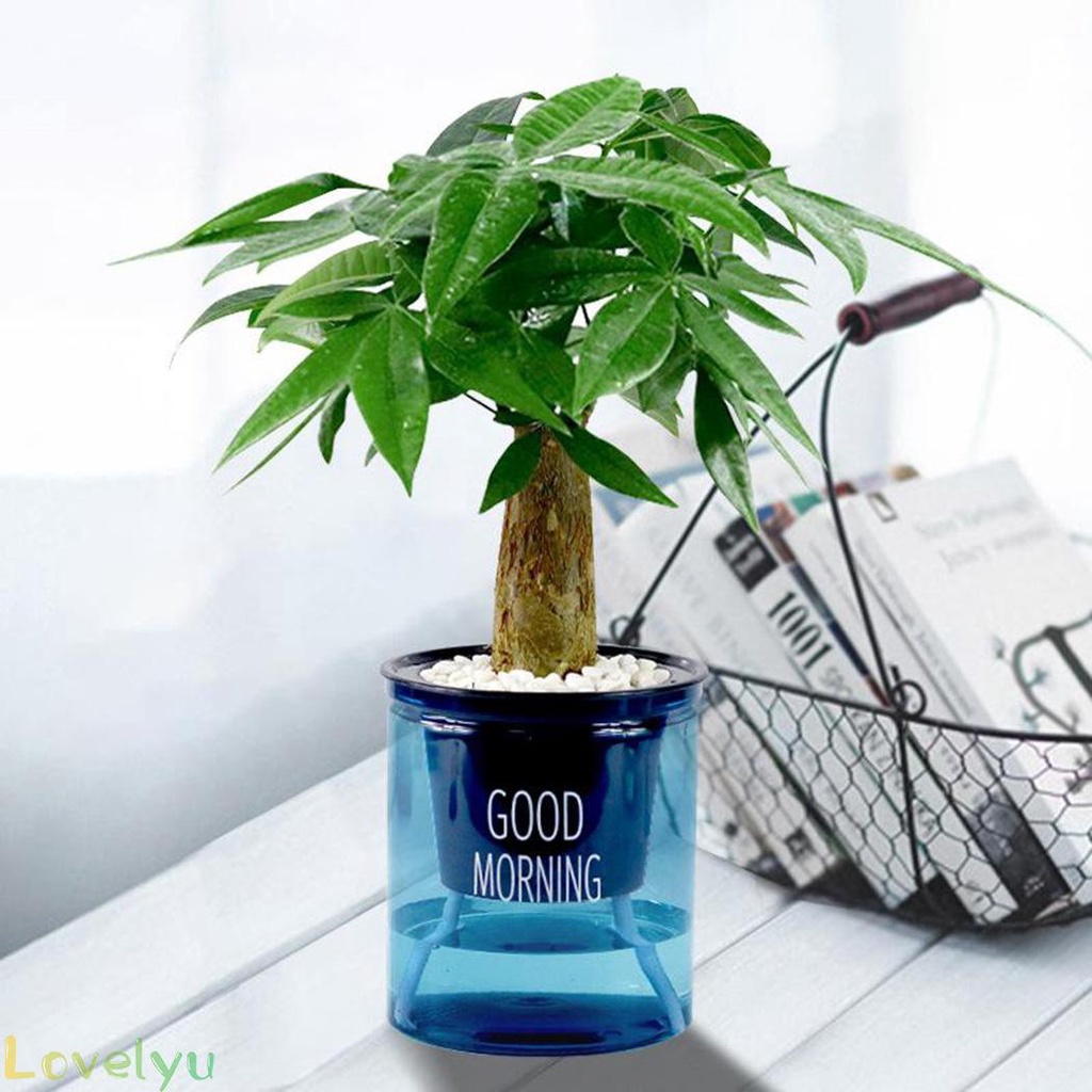 Set 2 Chậu Trong Suốt Tự Tưới Nước Tiện Dụng