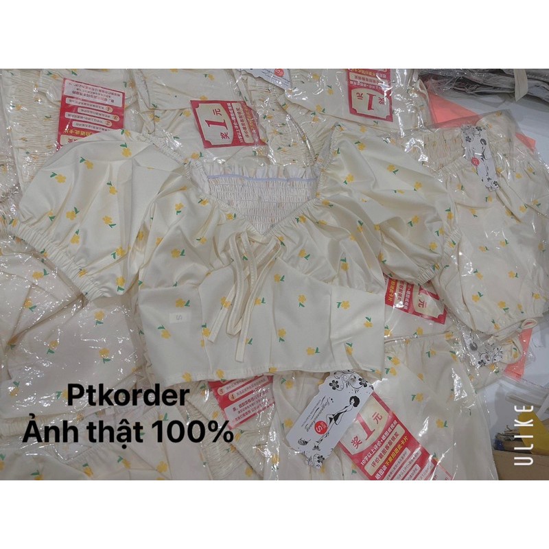 NEW ARRIVALS HÀNG SĂN - ÁO CROTOP HOA NHÍ BO LƯNG KÈM ẢNH THẬT