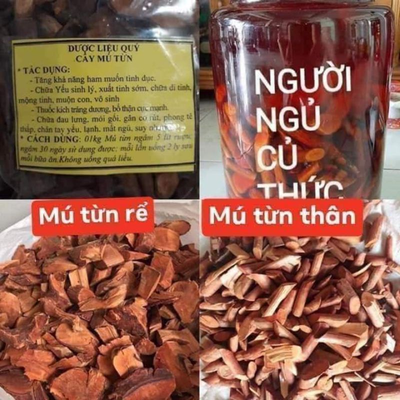 Rễ cây mú từn