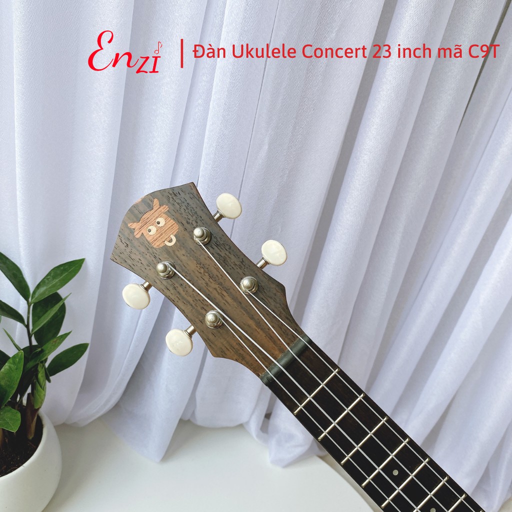 Đàn ukulele concert Enzi C9T màu gỗ phong cách cổ điển, âm thanh vang sáng giá rẻ chất lượng