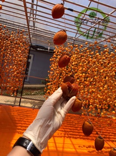 Hồng treo gió