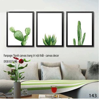 Bộ 3 tranh treo tường Cây Xương Rồng